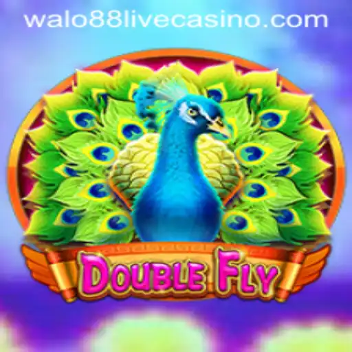 Exploring the Fascinating World of DoubleFly: The Next Big Thing