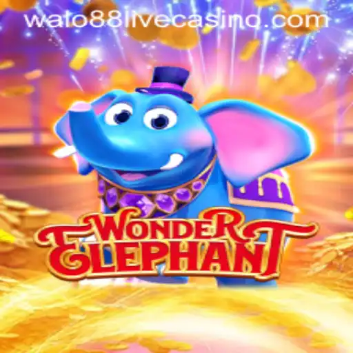 Discover the Fascinating World of WonderElephant and the Enigmatic Walo88
